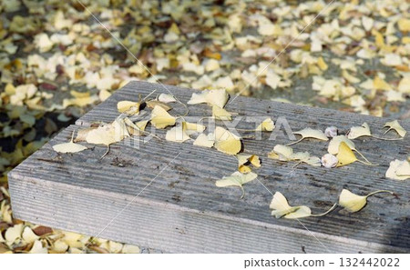 Autumn park bench 132442022