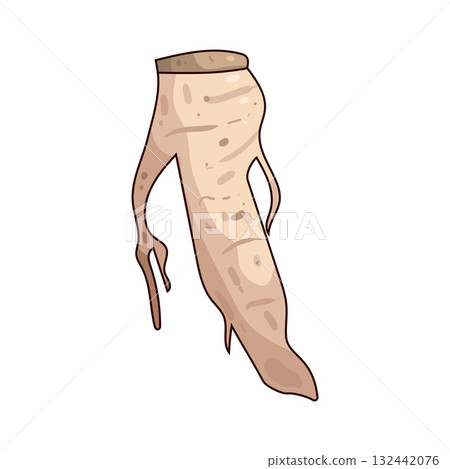 illustration of Horseradish 132442076