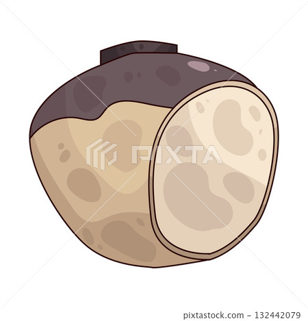 illustration of rutabaga 132442079