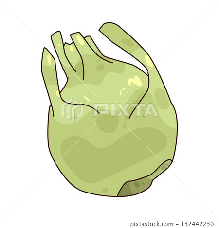 illustration of Kohlrabi illustration of Kohlrabi 132442230