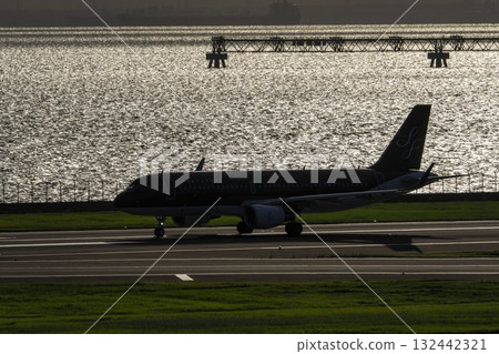 Scenery of Haneda Airport, plane taking off, Ota Ward, Tokyo Scenery of Haneda Airport, plane taking off, Ota Ward, Tokyo 132442321