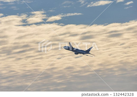 Scenery of Haneda Airport, plane taking off, Ota Ward, Tokyo 132442328