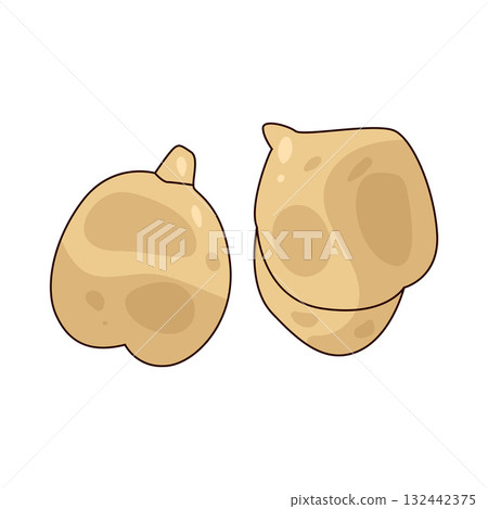 illustration of Chickpea illustration of Chickpea 132442375