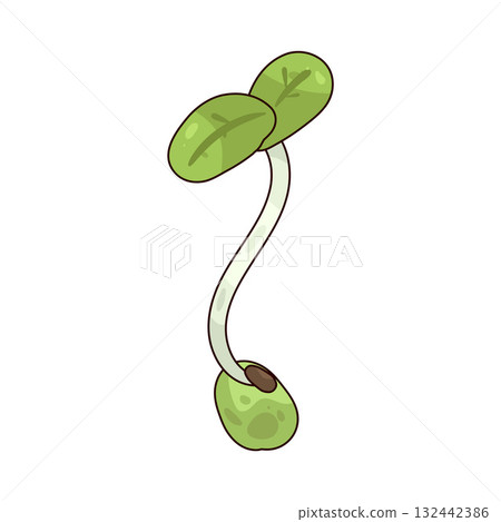 illustration of Sprouts 132442386