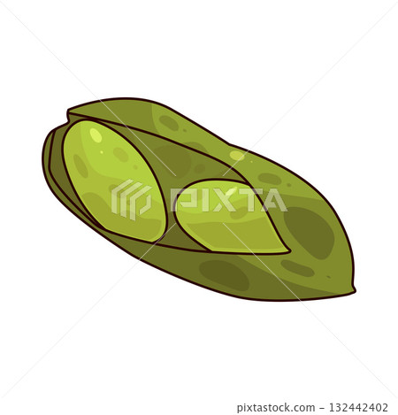 illustration of Lima Bean illustration of Lima Bean 132442402