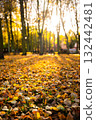 Autumn landscape with colorful fallen leaves and sun shining through trees 132442481