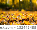 Colorful autumn leaves scattered on forest floor with blurred background 132442488