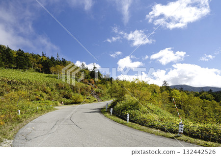 Near Manza Pass on the Joshin Skyline in early autumn 132442526