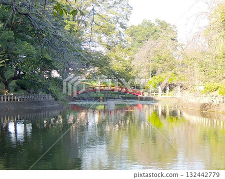 Mamada Hachiman Park 132442779