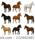 Various horse illustrations 132442985