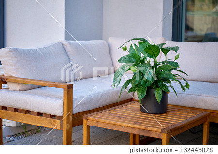Green potted plant on wooden table on modern terrace 132443078