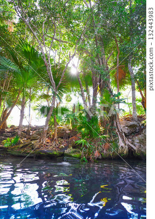 Cenote sinkhole in Riviera Maya of Mexico 132443983