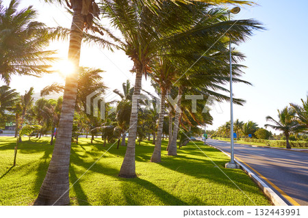 Cancun Mexico Kukulcan blvd Mexico 132443991