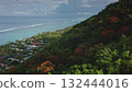 Capturing vibrant red blossoms adorning lush green slopes in Tahiti, cascading down to meet the crystal-clear turquoise waters of the pacific ocean Capturing vibrant red blossoms adorning lush green slopes in Tahiti, cascading down to meet the crystal-clear turquoise waters of the pacific ocean 132444016