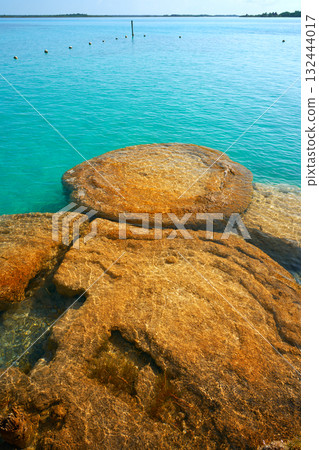 Stromatolites in Bacalar Lagoon of Mexico Stromatolites in Bacalar Lagoon of Mexico 132444017