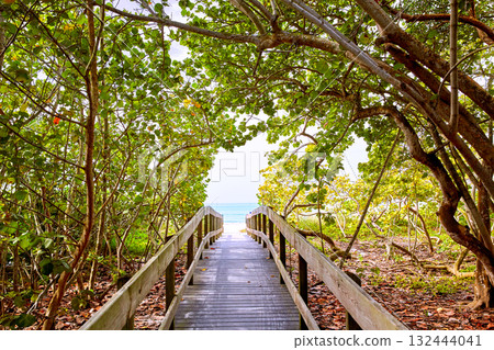 Florida bonita Bay Barefoot beach US 132444041