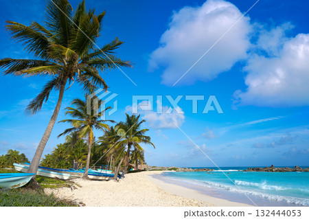 Chen Rio beach Cozumel island in Mexico 132444053