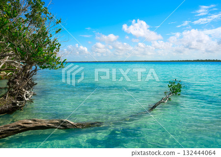 Laguna de Bacalar Lagoon in Mexico Laguna de Bacalar Lagoon in Mexico 132444064
