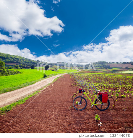 La Rioja vineyard fields in The Way of Saint James La Rioja vineyard fields in The Way of Saint James 132444078