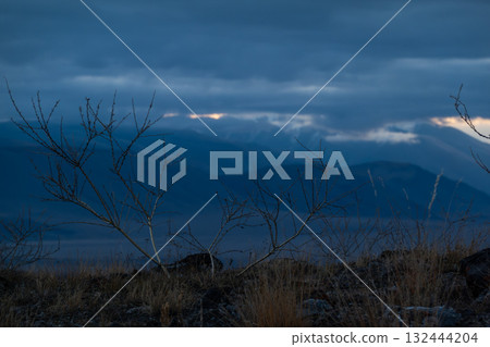 Desolate blue landscape with leafless shrubs and distant mountains at dusk Desolate blue landscape with leafless shrubs and distant mountains at dusk 132444204