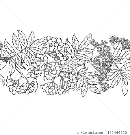 Rowan Outline Horizontal Seamless Pattern. Rowan Outline Horizontal Seamless Pattern. 132444320