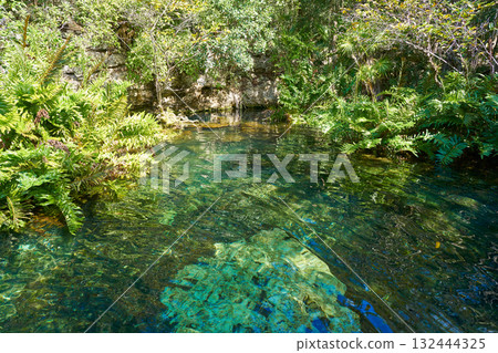Cenote in Riviera Maya of Mayan Mexico Cenote in Riviera Maya of Mayan Mexico 132444325
