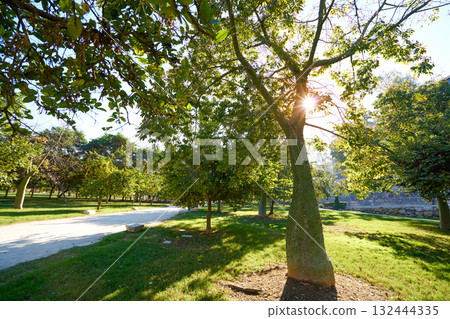 Valencia Turia park gardens view Valencia Turia park gardens view 132444335
