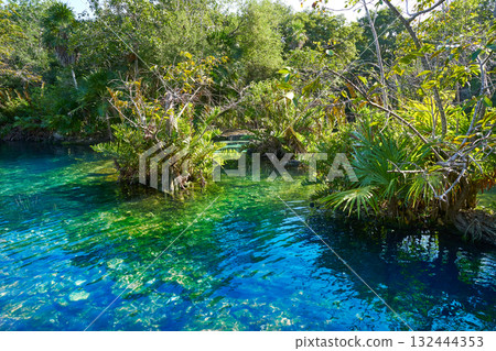 Cenote in Riviera Maya of Mayan Mexico 132444353