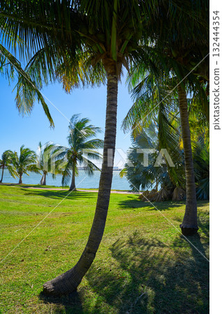 Cancun Pok-Ta-Pok area in Hotel Zone 132444354