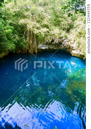 Cenote sinkhole in rainforest mayan jungle Cenote sinkhole in rainforest mayan jungle 132444359