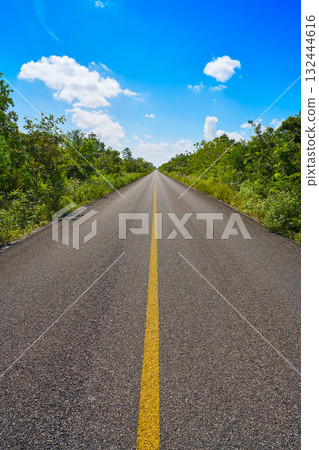 Riviera Maya jungle rainforest road 132444616