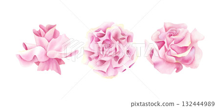 Rose buds watercolor set. Pink floral clip art. Open bud of flower. Delicate illustration isolated from background. For wedding invitation design, greeting card Women's and Valentine's Day, Stationery Rose buds watercolor set. Pink floral clip art. Open bud of flower. Delicate illustration isolated from background. For wedding invitation design, greeting card Women's and Valentine's Day, Stationery 132444989