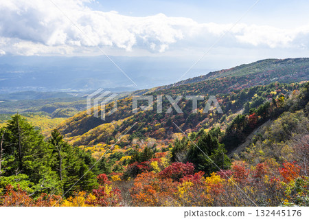 Autumn leaves on the Bandai-Azuma Skyline in Fukushima City, Fukushima Prefecture Autumn leaves on the Bandai-Azuma Skyline in Fukushima City, Fukushima Prefecture 132445176