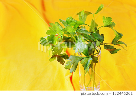 Bunch of fresh parsley herb 132445261