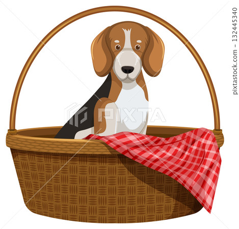 Beagle Puppy Sitting in Wicker Picnic Basket 132445340
