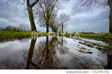 A Serene and Tranquil Reflection of Trees in a Shimmering Puddle Under Cloudy Skies A Serene and Tranquil Reflection of Trees in a Shimmering Puddle Under Cloudy Skies 132445702
