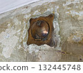 Antique copper ventilation duct on wall in pre-revolutionary house 132445748
