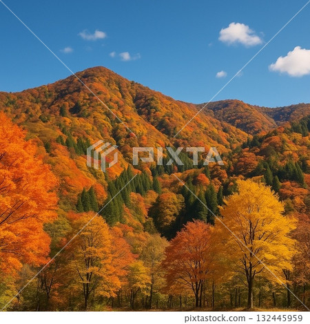 Mountains dyed in autumn leaves and blue skies Mountains dyed in autumn leaves and blue skies 132445959