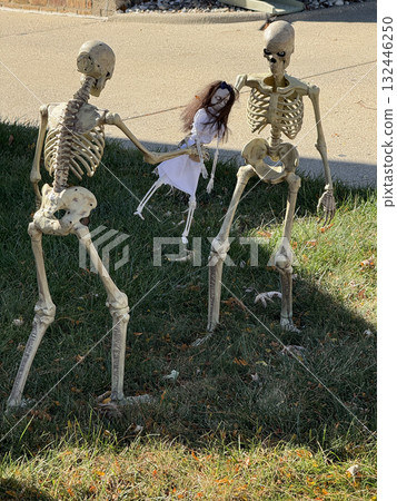 Two skeleton decorations holding a creepy doll in a Halloween yard display 132446250