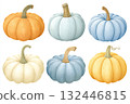 Various colorful pumpkins set arranged in a decorative display showcasing autumn harvest with unique shapes and textures on white background. 132446815