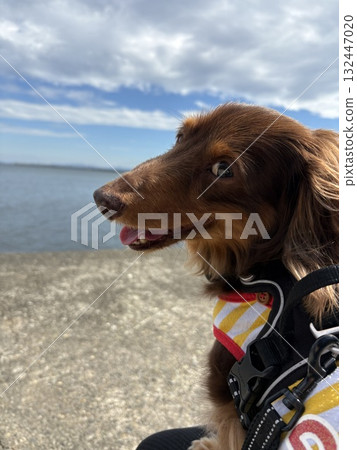 享受大海 享受大海 132447020