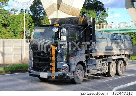 Dump truck 132447112