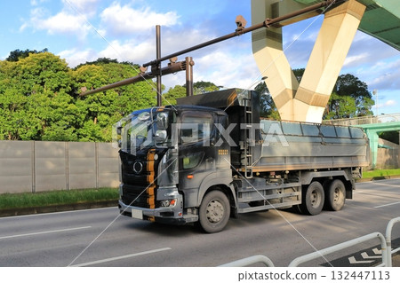 Dump truck 132447113