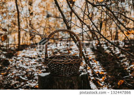 Wicker basket on a tree stump in a sunlit autumn forest scene. A rustic woven basket sits on a tree stump in a forest, surrounded by fall foliage and branches. Wicker basket on a tree stump in a sunlit autumn forest scene. A rustic woven basket sits on a tree stump in a forest, surrounded by fall foliage and branches. 132447866
