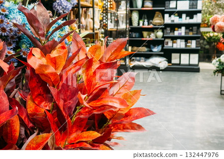 Vibrant artificial red-orange foliage in a modern decor store. Faux greenery, sustainable merchandising, color psychology, reusable design elements Vibrant artificial red-orange foliage in a modern decor store. Faux greenery, sustainable merchandising, color psychology, reusable design elements 132447976