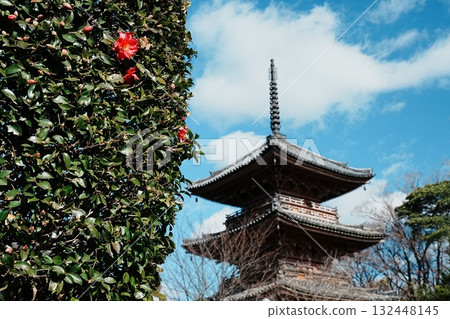 山茶花和三重塔 132448145