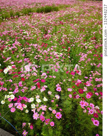 宇宙領域 宇宙領域 132448217