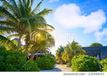 Holbox Island street Quintana Roo Mexico 132448341