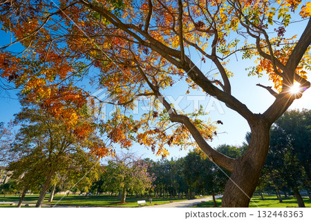 Valencia Turia park gardens view 132448363