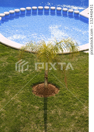 round blue swimming pool palm tree garden round blue swimming pool palm tree garden 132448431